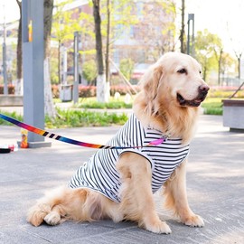 ANIAC Summer Dog Shirt for Medium Dog Girl Boy Cotton Striped Dog T-Shirt White Basic Tank Top Sleeveless Doggy Vest Cooling Pet Clothes for Dogs (White, 8XL)