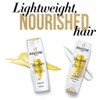 Pantene Daily Moisture Renewal Conditioner 375ml