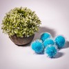 VAPKER 30 Pcs Cat Ball Toys Sparkle Balls Extra Large