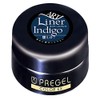 Pregel Gel Nail Color EX, Milky Carrot 300 bule