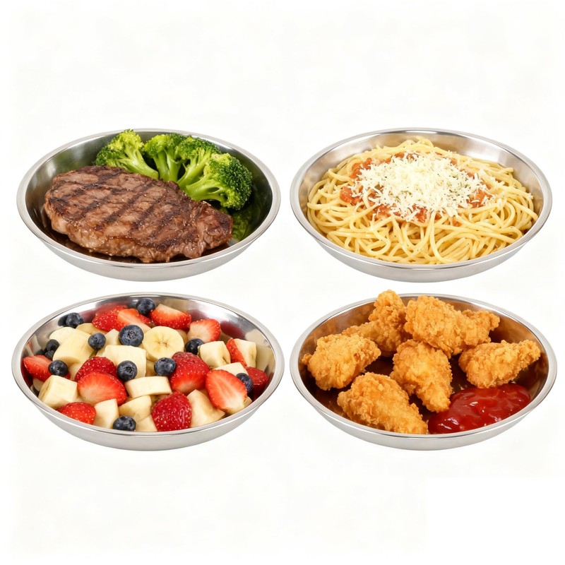 Parlynies 4 Pack Stainless Steel Plate Set, 9.45 Inch Round