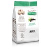 Russell Stover Mint Patty Mini Gusset Bag, 6 Ounce Bag