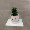 6 Inch White Floating Wall Shelf, Rustproof Aluminum Alloy Wall