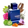 Al Haramain Amber Oud Dubai Night Edition for Unisex -