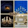 7 Watt Night Light Replacement Bulbs - 12 Pack Salt