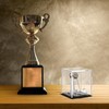 uxcell 2PCS Championship Ring Display Case with Wooden Base, Acrylic