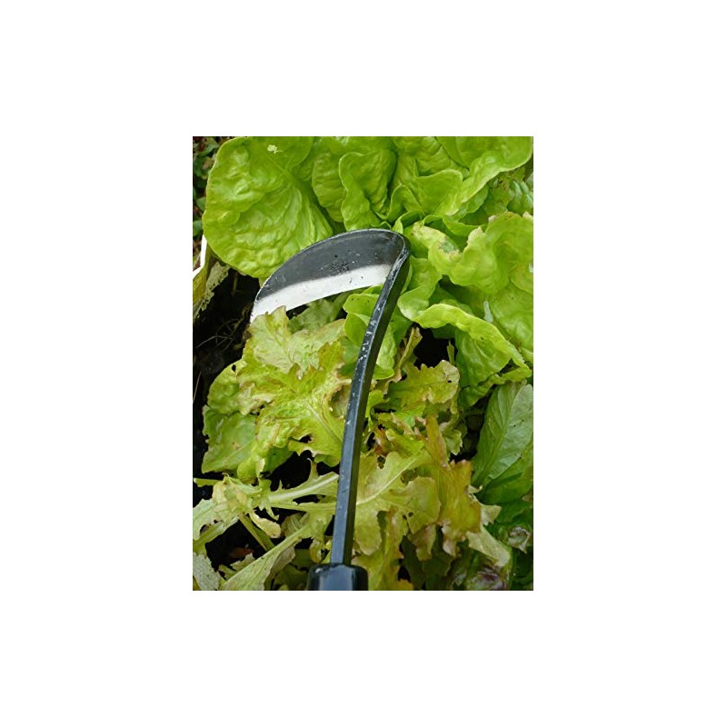 Burgon & Ball Japanese Hoe