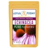 Echinacea, Pure Echinacea flower Herbal Tea 21 Tea bags
