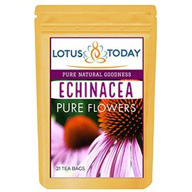 Echinacea, Pure Echinacea flower Herbal Tea 21 Tea bags