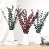 Jtoder 20 PCS Dried Eucalyptus Stems, 17'' Natural Real Live