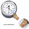 Measureman Diaphragm Type Capsule Low Pressure Gauge, 2-1/2" Dial, 1/4"NPT
