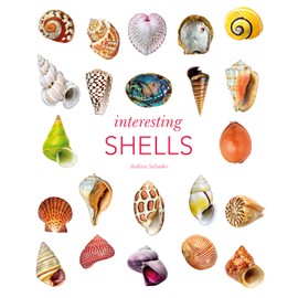 Interesting Shells