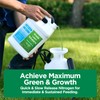 Maximum Green & Growth Fertilizer High Nitrogen 28-0-0 Lawn Food