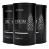 Kit De 3 Creatinas Monohidratadas 450g C/u Vegana Birdman
