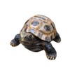 S.T.S.G Turtle Sculpture Garden Figurine, Yard Gardening Garden Object Interior