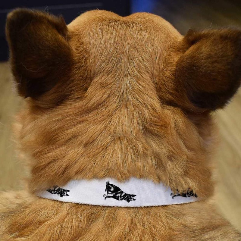 Small 'German Shepherd Sitting Side View' Dog Collar (PR00062647)