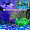 Remarks Japan Luminous Stones, Luminous Stones, Luminous Stones, Luminous Stones,