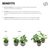Ultum Nature Systems Hydro Pot Holder – Clear Adjustable Acrylic