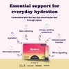 Extracted Hydree Advanced Electrolyte Drink Mix, Sodium Potassium Magnesium Calcium