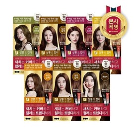 elastin LG Household & Health Care Elastin Salon de Color Gray Gray Hair Dye Cream 100g x 2 (among 7 colors) / LG생활건강 엘라스틴 살롱 드 컬러새치 염색 크림 100g x 2개 (7가지 색상 중