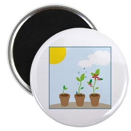 CafePress Seedlings Magnets 2.25" Round Button Magnet (10 pack)
