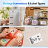 Phomemo M250 Label Printer, 3 Inch Bluetooth Labeling Device, Thermal