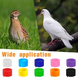 OQKAHIV Pack of 100 8 mm Multicolour Clip-On Bird Leg Rings, No Numbers, Plastic Pigeon Foot Rings for Identification and Opening Detection of Chicks, Pigeons and Parrots - Random Colour