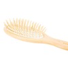Acca Kappa Pneumatic Beech Wood Oval Brush with Wooden Pins