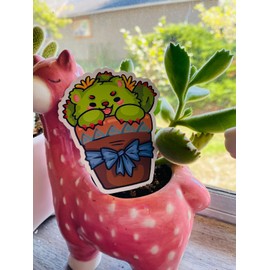 Handmade Bear Paw Succulent Vinyl Magnet