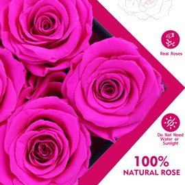 Impouo Preserved Rose,Gifts for Her, Birthday Gifts for Women, Gifts for Mom/Girlfriend/Wife/Grandma Christmas, Birthday, Valentine's Day