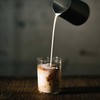 Tokyo Coffee Kilimanjaro Organic Coffee Beans Kilimanjaro Peaberry Organic Coffee