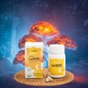 Efficacy of high-dose liposome vitamin C liposome liposomal liposome vitamin