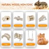 7pcs Hamster Toys Wooden Cage Accessories Include Snail House, Bell