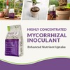 Myco Bliss Granular (200 g) - Mycorrhizal Fungi for Plants
