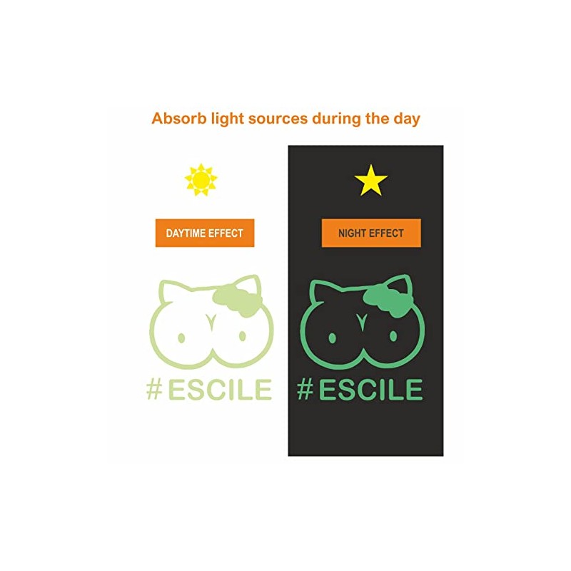 AMA shop FROG FUN SCOOTER PVC sticker for Decal Wall