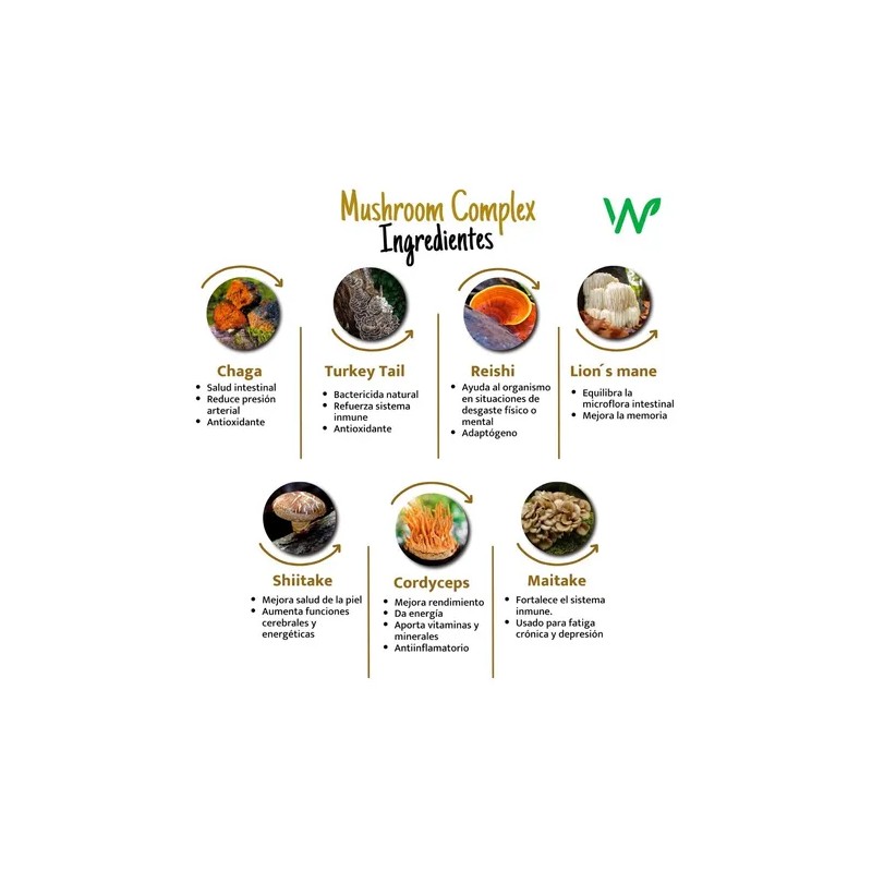 Nw Mushroom Complex Concentración Melena León Reishi 180caps