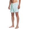 RVCA Men's Fixed Waist 16" Boardshorts - Jacobs Archive |