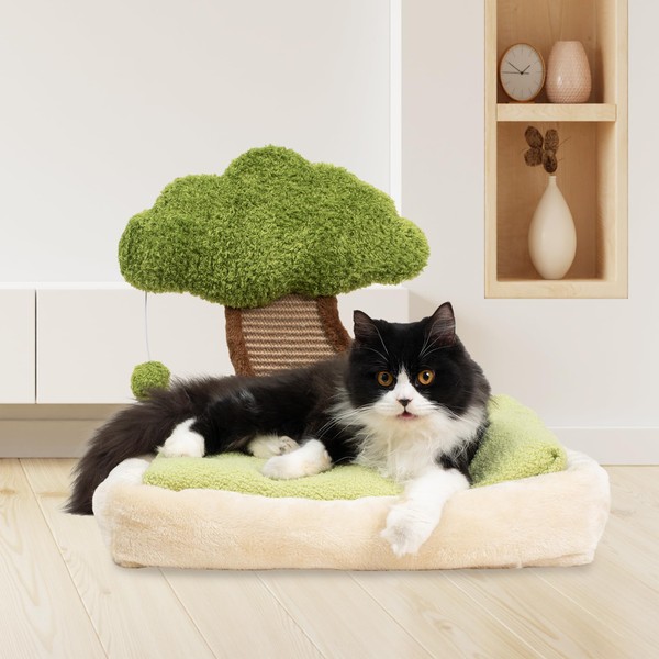 Meowoou Cat Bed with Scratching Pad (15.7''x19.7''), Soft Bed for