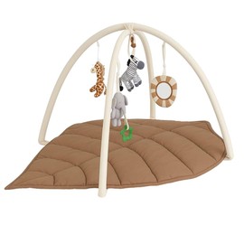 Littlez Baby Play Gym & Activity for Visual, Hearing, Sensory, Motor Development, Leaf Shaped Baby Play Mat w 6 Detachable Toys, Tummy Time Mat Baby Essentials Shower Gift