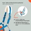 RL24 - Headcollar with Plush Padding Basicline | Halter for