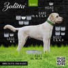 ZOLITTA 7WF Premium Professional Pet Dog Grooming Wide Clipper Blade,