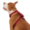 KONG Max Ultra Durable Neoprene Padded Chest Plate Dog Harness