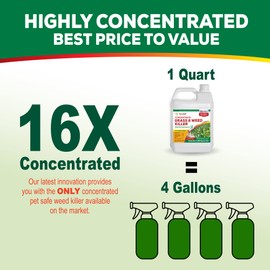 Eco Living Solutions Weed Killer Concentrate - Pet Safe, Organic Spray for Grass, Moss, Crabgrass & Dandelion | Glyphosate Free Herbicide (32 oz)