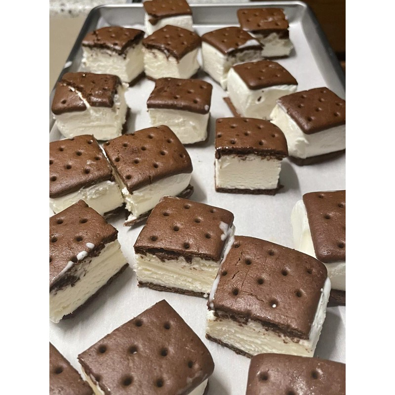 Fat Boy Freeze Dried Ice Cream Sandwich Bites Fat Boy
