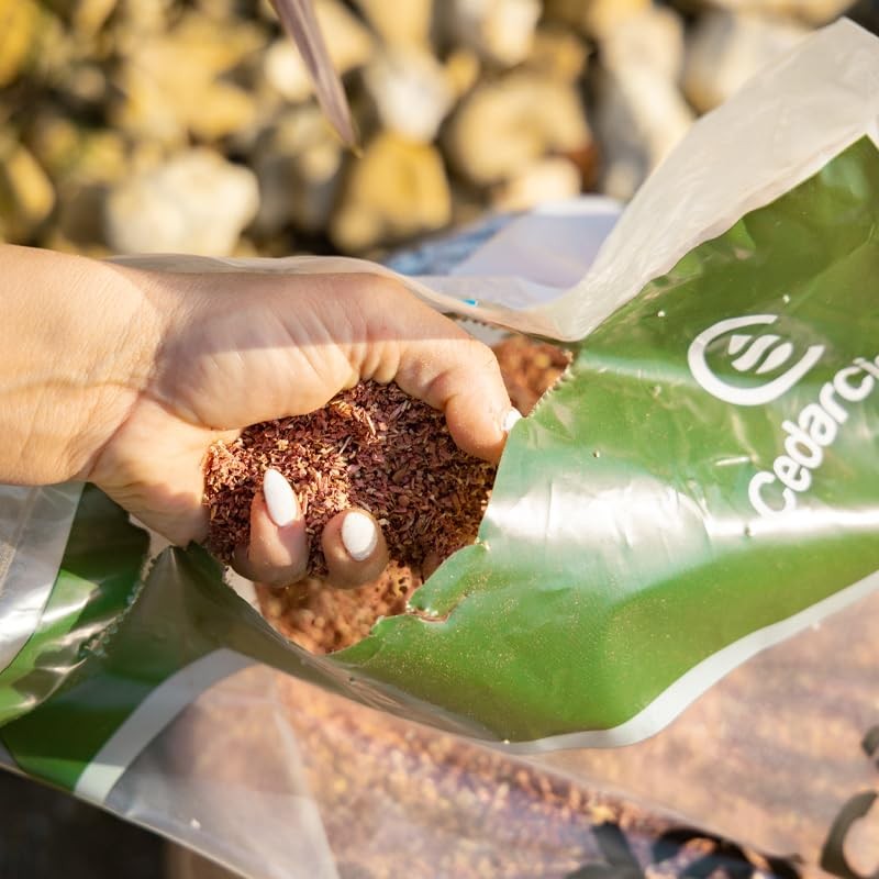 Cedar Lawn Patio Granules | Use on Fleas, Ticks, Ants,