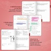 Legend Planner – Weekly & Monthly Life Planner to Hit