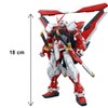 Bandai Hobby MG Gundam Kai Model Kit (1/100 Scale), Astray