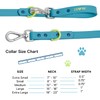 Wild One, Limited Edition, Designer Collection, Blue Dog Collar, Easy-Clean,