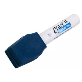 STAIN ERASER Rust Scum & Stain Eraser for Spas & Swimming Pool Vinyl, Gunite & Fiberglass