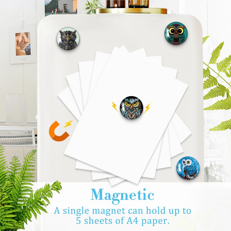 MORCART Pack of 16 Owl Magnets, Funny Fridge Magnets for